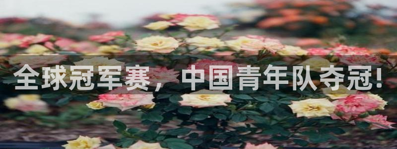 全球冠军赛，中国青年队夺冠!