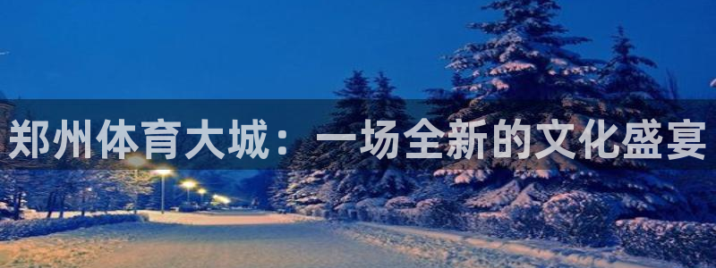 郑州体育大城：一场全新的文化盛宴