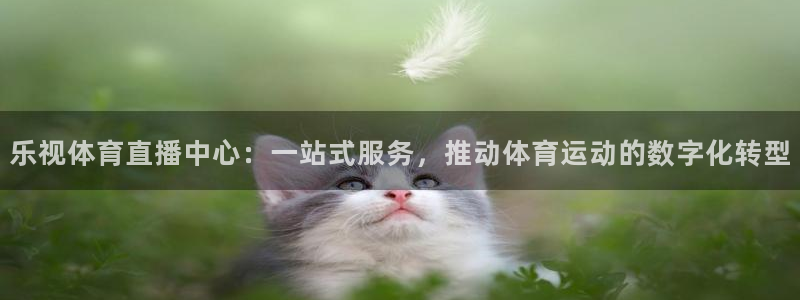 乐视体育直播中心：一站式服务，推动体育运动的数字化转型