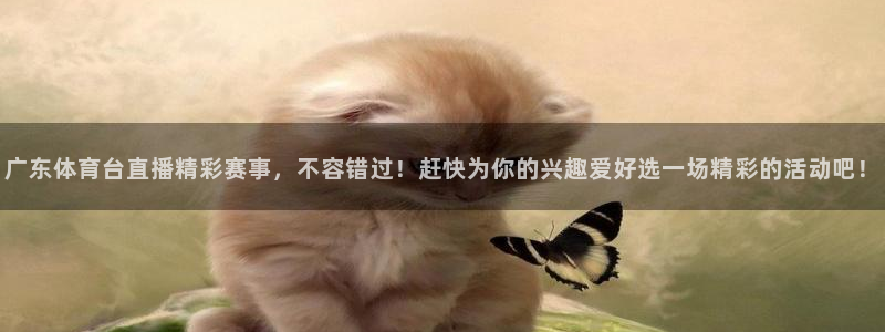 广东体育台直播精彩赛事，不容错过！赶快为你的兴趣爱好选一场精彩的活动吧！