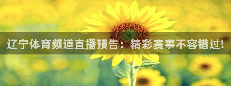 辽宁体育频道直播预告：精彩赛事不容错过!