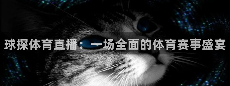 球探体育直播：一场全面的体育赛事盛宴