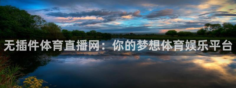 无插件体育直播网：你的梦想体育娱乐平台