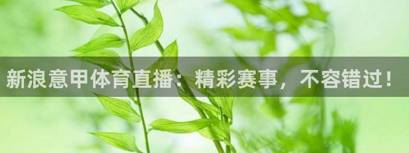 新浪意甲体育直播：精彩赛事，不容错过！