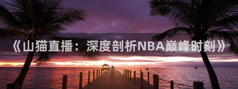 《山猫直播：深度剖析NBA巅峰时刻》