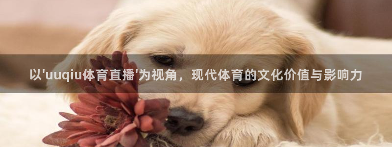 以\'uuqiu体育直播\'为视角，现代体育的文化价值与影响力