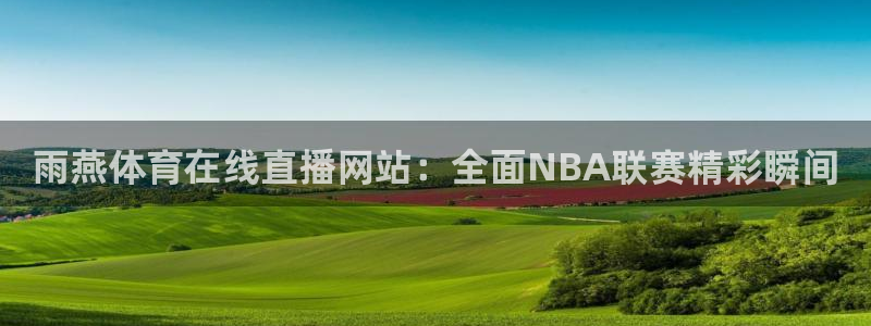雨燕体育在线直播网站：全面NBA联赛精彩瞬间
