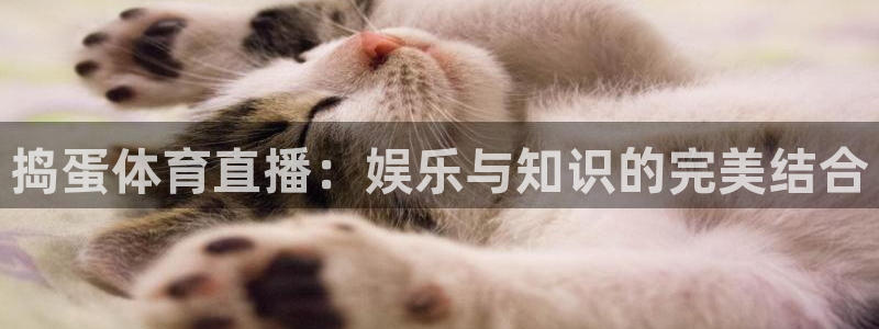 捣蛋体育直播：娱乐与知识的完美结合