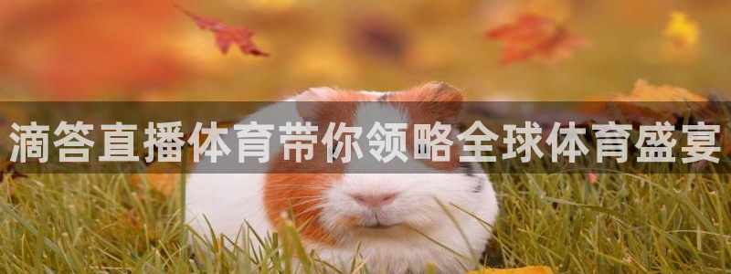 滴答直播体育带你领略全球体育盛宴