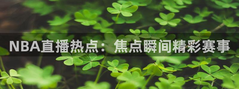 NBA直播热点：焦点瞬间精彩赛事