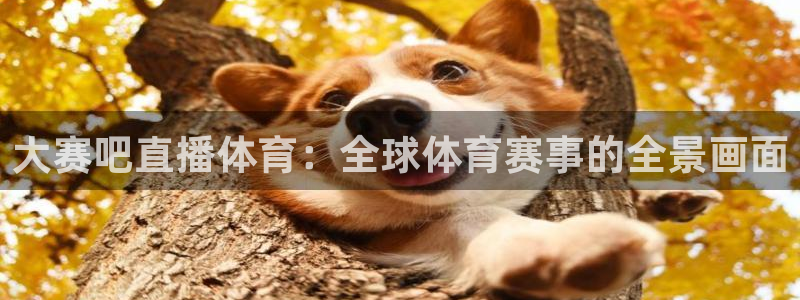 大赛吧直播体育：全球体育赛事的全景画面