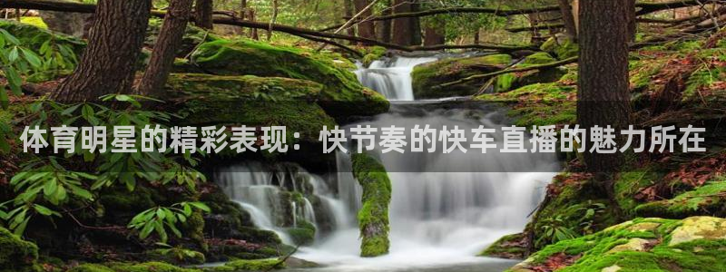 体育明星的精彩表现：快节奏的快车直播的魅力所在